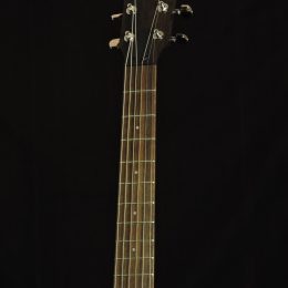 Taylor AD27e Front Headstock
