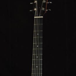 Taylor 110e Front Headstock