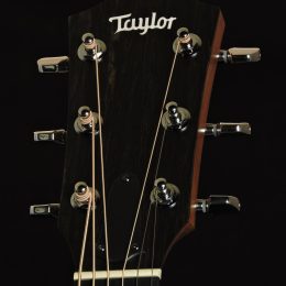 Taylor 110e Front Headstock Close