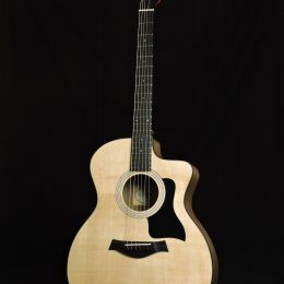 Taylor 114ce Front