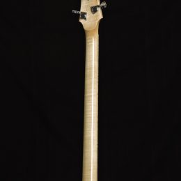Nechville Custom Plectrum Banjo Back Headstock