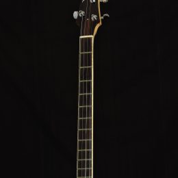 Nechville Custom Plectrum Banjo Front Headstock