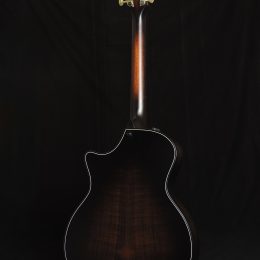 Taylor 324ce Builders Edition Back