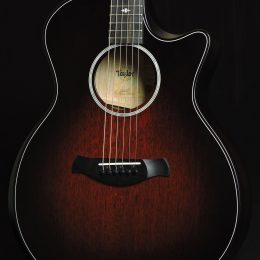 Taylor 324ce Builders Edition Front Close