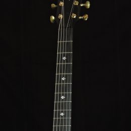 Taylor 324ce Builders Edition Front Headstock