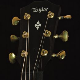 Taylor 324ce Builders Edition Front Headstock Close