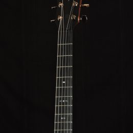 Taylor 724ce Front Headstock