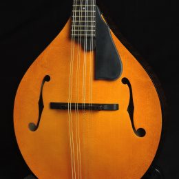 NORTHFIELD MODEL-M AMBER TOP A-STYLE MANDOLIN WITH CASE