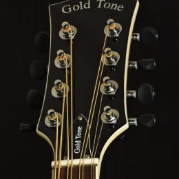 Gold Tone Mandocello 4286 Front Headstock Close
