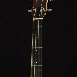 TAYLOR GS MINI-E MAPLE ACOUSTIC ELECTRIC BASS GUITAR WITH CASE