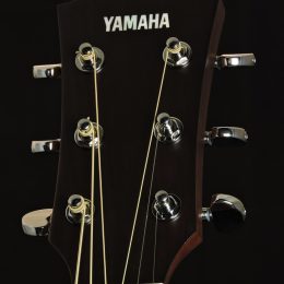 Yamaha AC1R VN Front Headstock Close