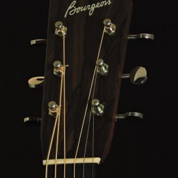 Bourgeois D-Country Boy Adirondack Front Headstock Close