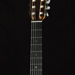 Taylor Academy 12e-N Front Headstock