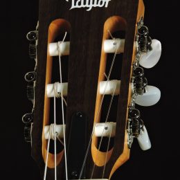 Taylor Academy 12e-N Front Headstock Close