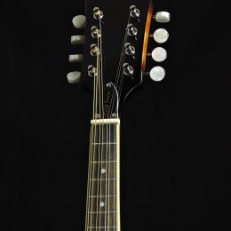 Gold Tone GM-50+ Front Headstock
