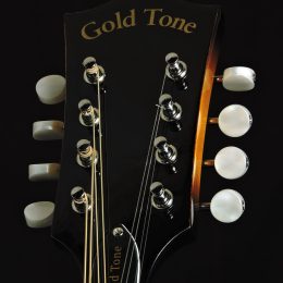 Gold Tone GM-50+ Front Headstock Close
