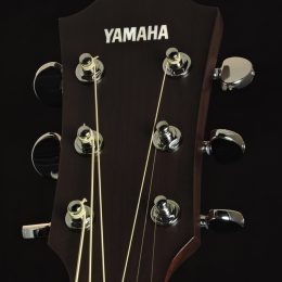 Yamaha A3R VN Front Headstock Close