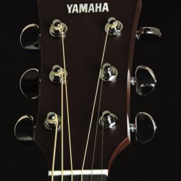 Yamaha AC3R VN Front Headstock Close