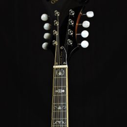 Gold Tone GM-35 Front Headstock