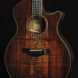 Taylor K24ce Builders Edition Front Close