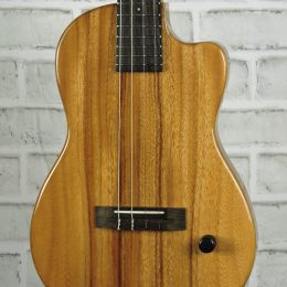 Pono BE-D Front Close