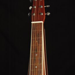 Gold Tone GT-W Front Headstock