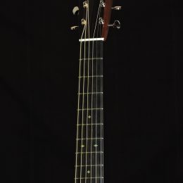 Collings D2H SB TS 33521 Front Headstock