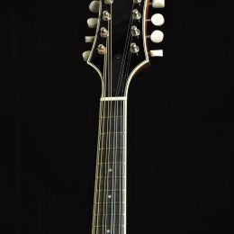 Bourgeois M5-A Front Headstock