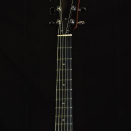 Taylor 214ce DLX 7469 Front Headstock