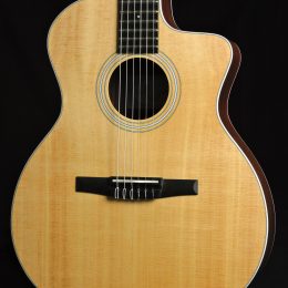 Taylor 214ce-N 0271 Front Close