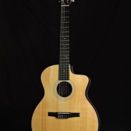 Taylor 214ce-N 0271 Front