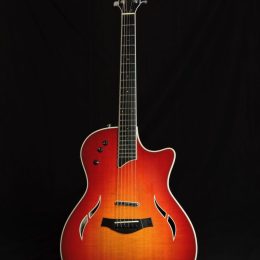 Taylor T5S 1097 Front