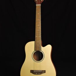 Gold Tone M-Guitar Front