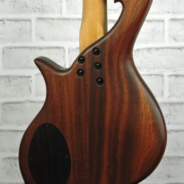 Birdsong Custom 19BX-045 Back Close