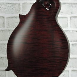 Collings MF Deluxe Merlot Back Close