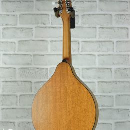 Eastman PCH-M104 Back