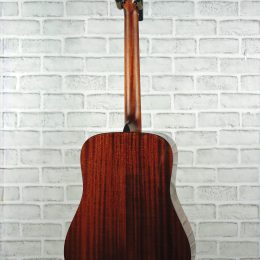 Eastman E1D-DLX Back