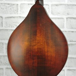Eastman MD315L 2402 Back Close