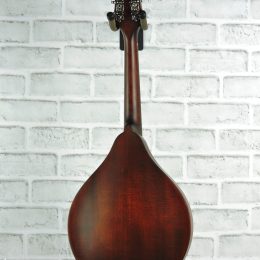 Eastman MD305 Back