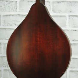 Eastman MD305 Back Close