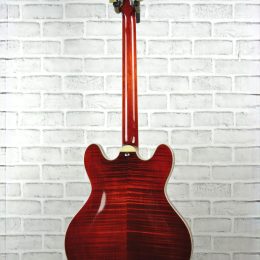 Eastman T486 0316 Back