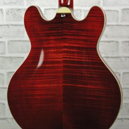 Eastman T486 0316 Back Close