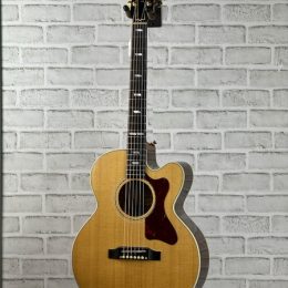 Gibson parlor8