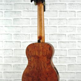 Kala UBASS-BNGA-FS Back