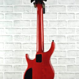 Kala UBASS Electric Back