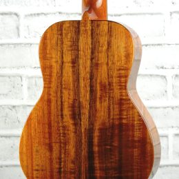 Kanile'a K-1 T DLX 16441 Back Close