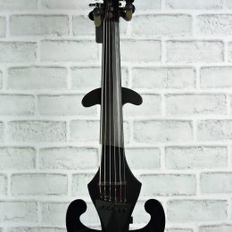 Vector Violin Front
