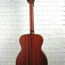 Eastman E1OM Back