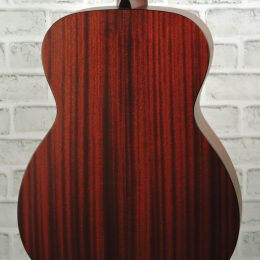 Eastman E1OM Back close