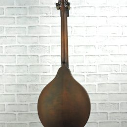 Eastman MDO305 Back